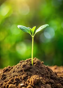 We deliver integrated agricultural solutions supported by specialized consulting services and technical support to help your agricultural project succeed.