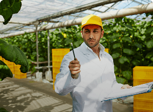 Project Implementation