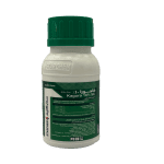 كاجورا 200سم